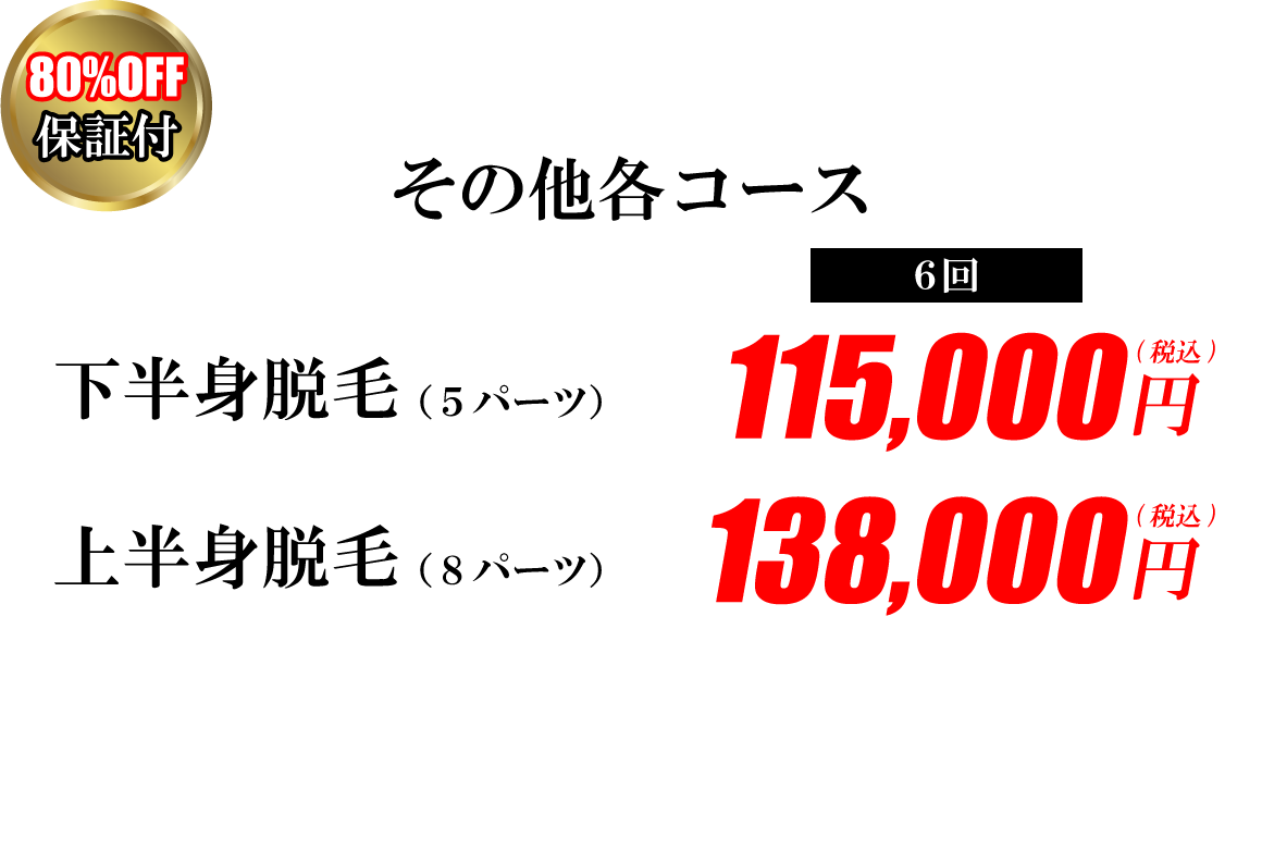 下半身脱毛(5パーツ)6回115,000円(税込)｜上半身脱毛(8パーツ)6回138,000円(税込)｜全身脱毛プレミアム(17パーツ)6回340,000円(税込)｜80%OFF保証付